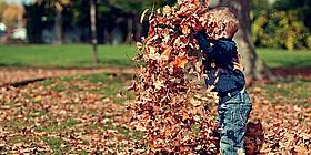ein Junge, der mit Blättern spielt im Herbst