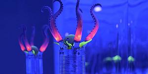 Kunstinstallation, die leuchtende Oktopusarme abbildet