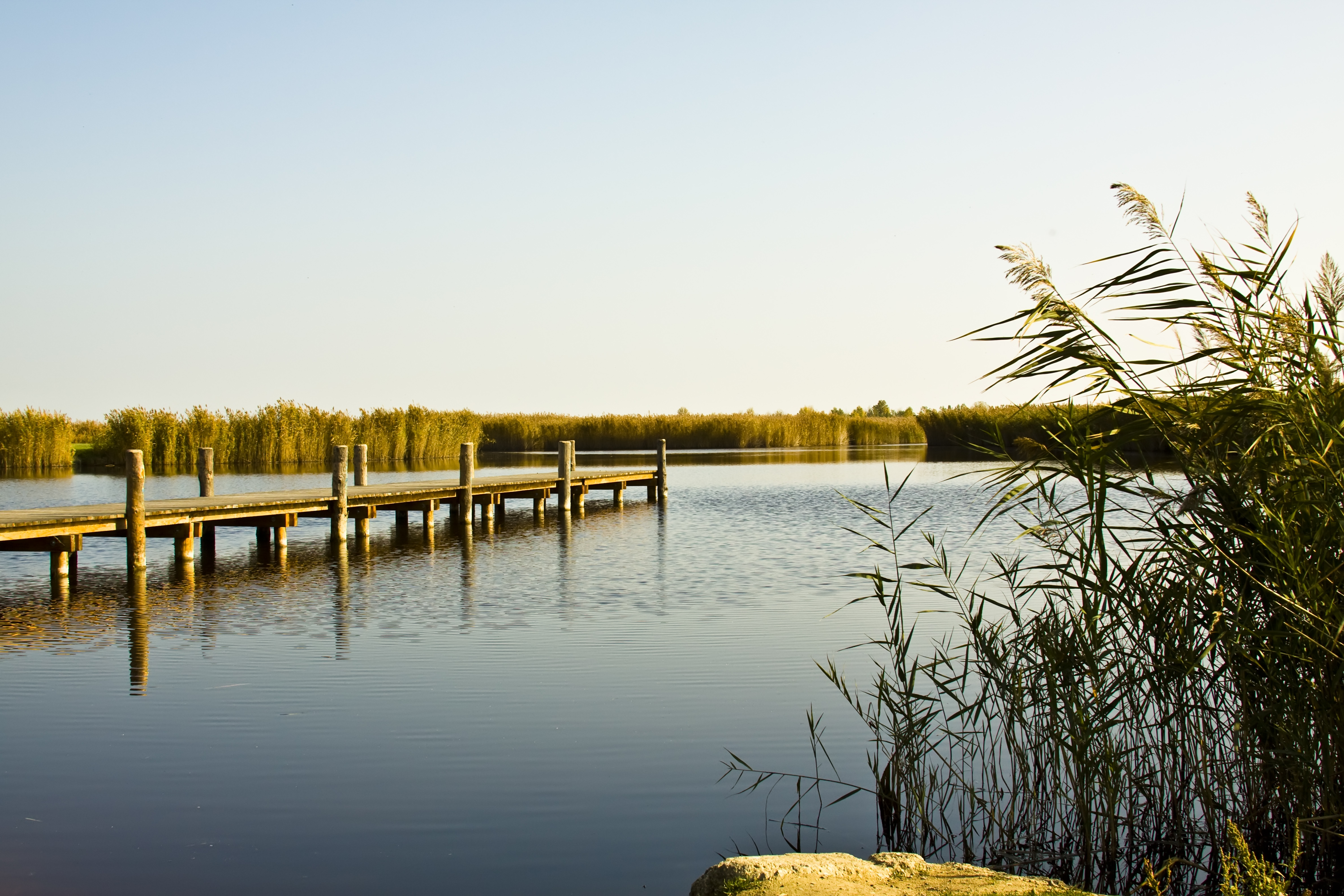 Der Neusiedler See mit Steg an einem sonnigen Tag