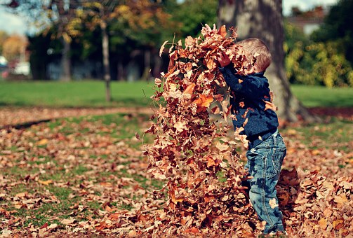 ein Junge, der mit Blättern spielt im Herbst