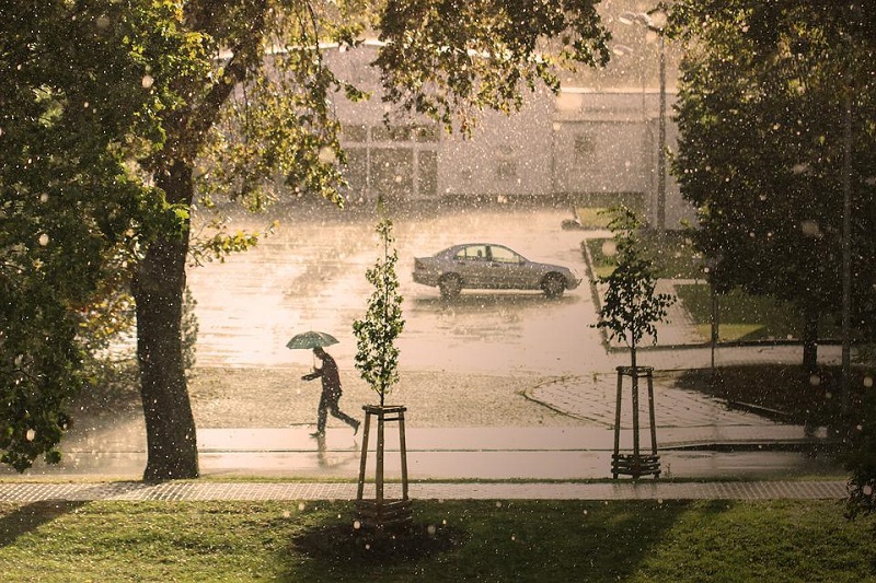 Mann mit Schirm läuft durch Sturm, es regnet und der Baum biegt sich.