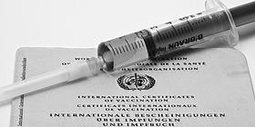 Spritze auf Impfpass in Grau 