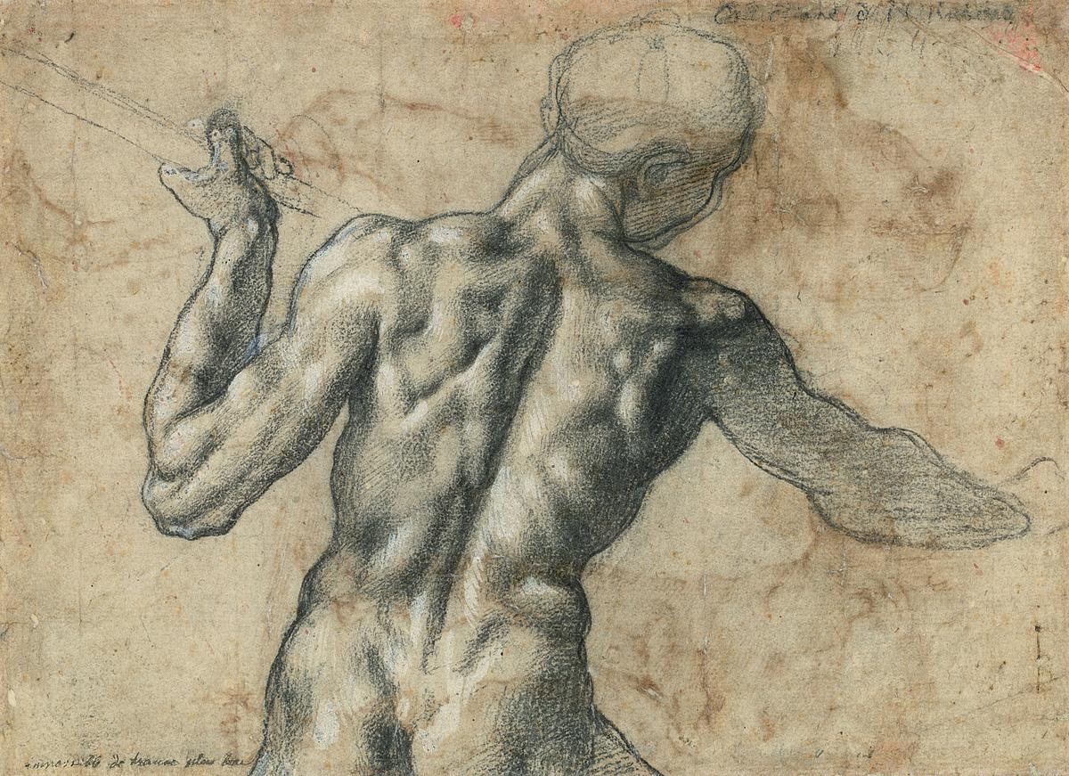 Rückenakt von Michelangelo, der einen Kampfakt ausführt.