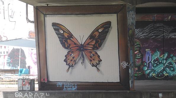 Graffiti am Donaukanal: Riesiger eingerahmter Schmetterling