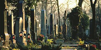 Grabsteine in einer Reihe mit Blumen geschmückt und roten Grablichtern