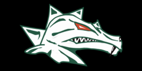 Das Logo der Danube Dragons