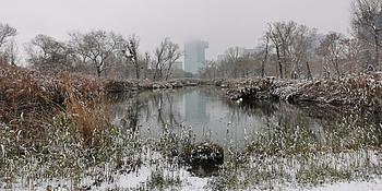 Ein Teich ist umgeben von schneebedeckten Bäumen und Sträuchern, während im Hintergrund ein paar Hochhäuser zu sehen sind