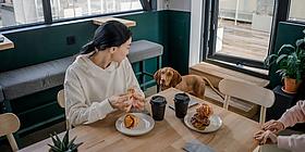 Frau sitzt an einem Tisch mit Mehlspeisen und Kaffee. Sie schaut zu einem braunen Hund mit Schlappohren (Rassse wahrscheinlich ein Kurzhaariger Ungarischer Vorstehhund)