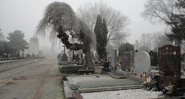 Mehrere Gräber sind an der rechten Seite zu sehen, während ein blattloser Baum und Nebel über dem Friedhof liegen