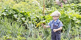 Kleiner Junge steht in einem wild bewachsenen Garten