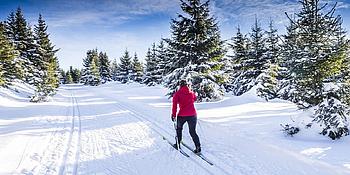 Frau in Winterlandschaft beim Langlaufen auf gespurter Strecke