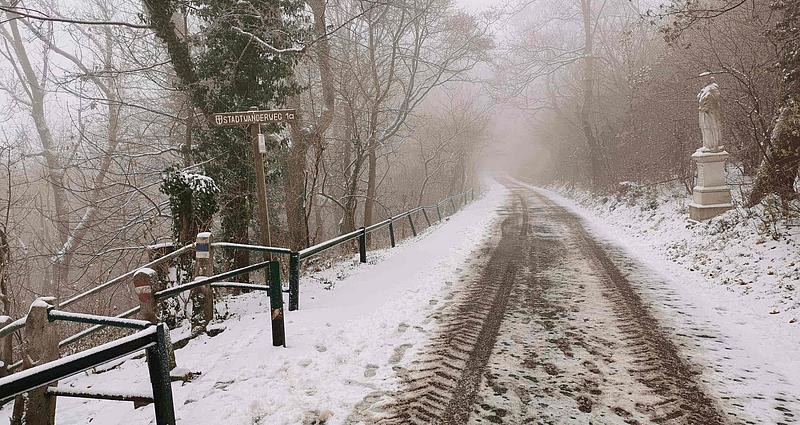 Eine nebelige Straße mit Reifenspuren im Schnee führt bergab, während sich daneben eine Treppe befindet, die in einen Waldweg führt