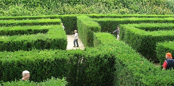 Ein Labyrinth aus grüner Hecke