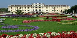 Bild von Schloss Schönbrunn - im Vordergrund der Garten mit roten, weißen, violetten, gelben und pinken Blumen.