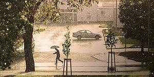 Mann mit Schirm läuft durch Sturm, es regnet und der Baum biegt sich.