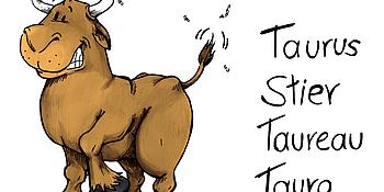 Stier Comic mit rechts Schriftzug Taurus, Stir, Taureau, Tauro