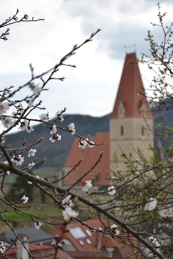 Kirche in der Wachau