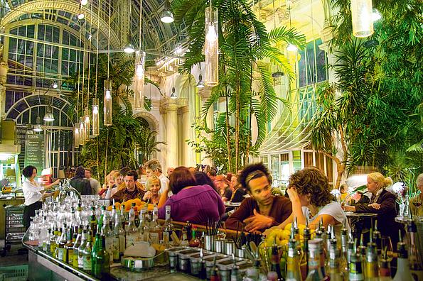 Gäste an der Bar im Hintergrund Palmen und tropische Pflanzen