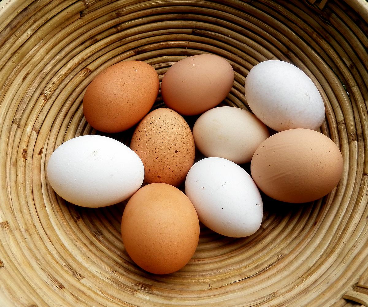 Weiße und braune Eier in einem Korb