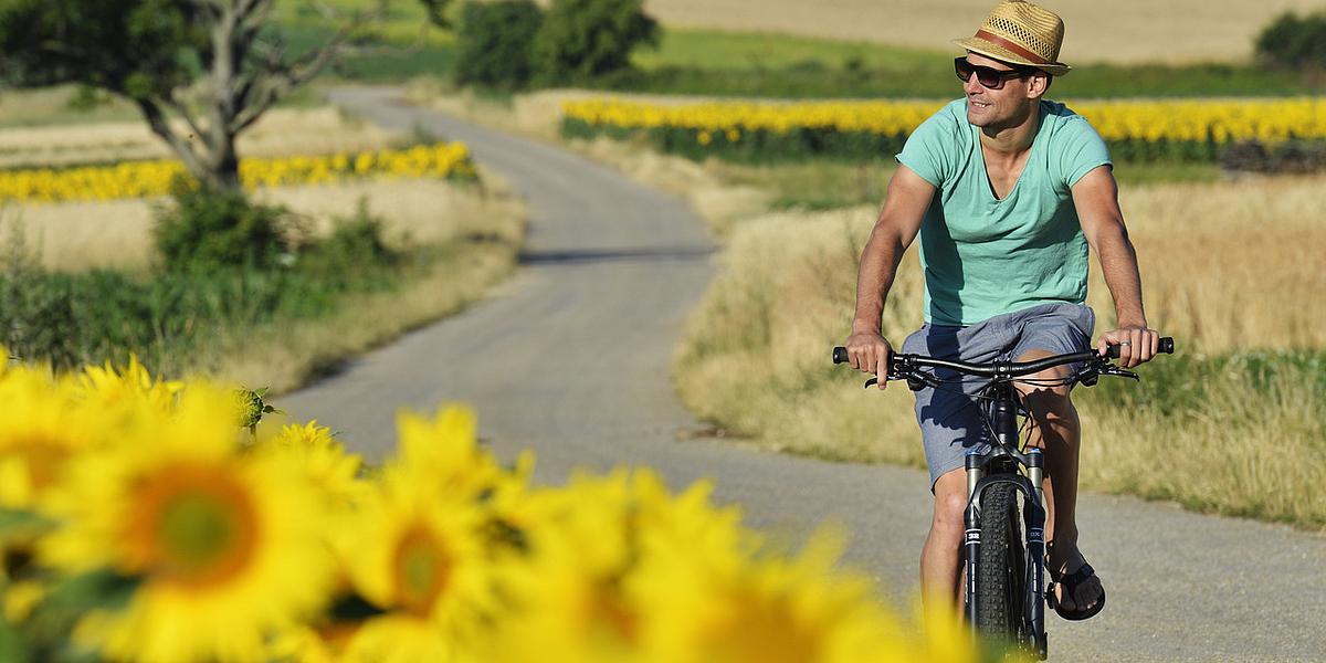Radfahrer mit Sonnenblumenfeld
