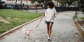 Das Bild zeigt eine Frau, die einen Hund an der Leine führt.