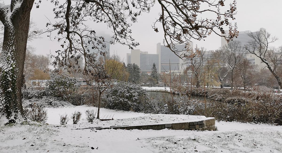 Das Vienna International Center ist im Hintergrund zu sehen, während im Vordergrund schneebedeckte Vegetation um einen Teich herum zu sehen ist