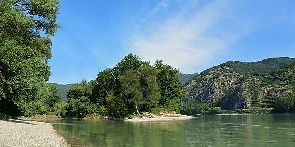 Nationalpark Donau-Auen, Ufer mit Bäumen im Hintergrund