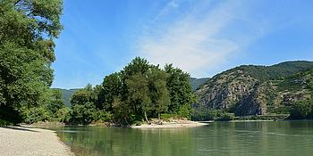 Nationalpark Donau-Auen, Ufer mit Bäumen im Hintergrund