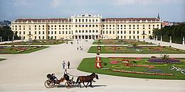 Fiaker fährt an Schloss Schönbrunn und der säuberlich gepflegten Gartenanlage vorbei.