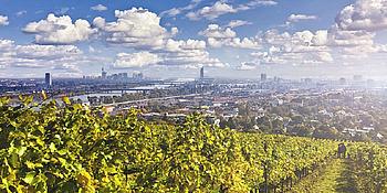 Blick vom Kahlenberg über Wien