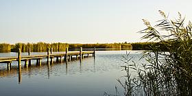 Der Neusiedler See mit Steg an einem sonnigen Tag