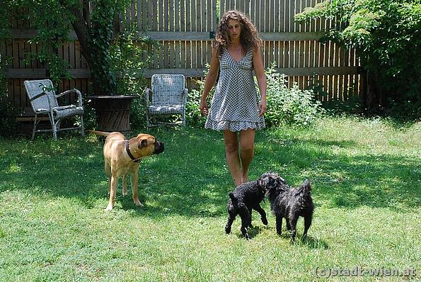 Dana Weinmann mit 3 Hunden im Garten