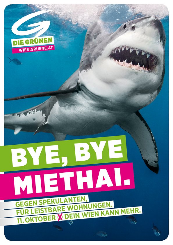 Wahlplakat "Die Grünen" zur Nationalratswahl Österreich 2013 mit einer Eule und dem Slogan: Noch Fragen?