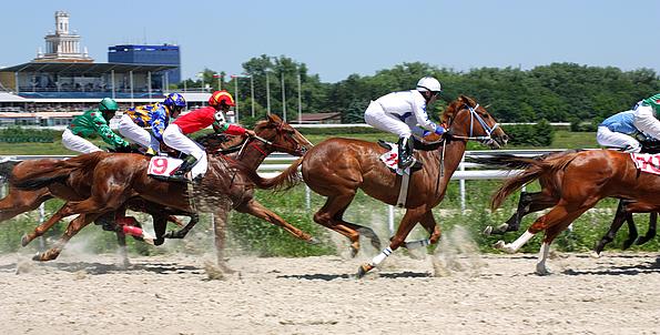 Galopprennen mit 6 - 7 Jockeys auf Pferden laufen auf Sand