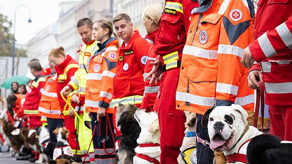 Rettungshunde-Teams beim Wiener Sicherheitsfest