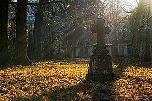 Grabstein am Wiener Zentralfriedhof