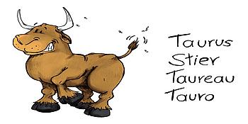 Das Tier Stier als verniedlichter Comic mit dem Wort Stier in vier verschiedenen Sprachen daneben.