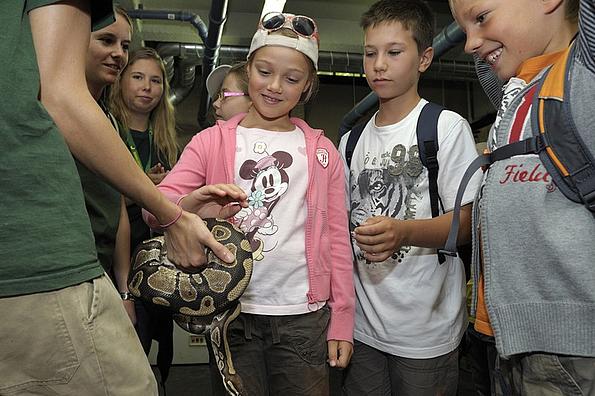 Tiergartenmitarbeiter zeigt den Kindern im Tiergarten Schönbrunn eine Schlange
