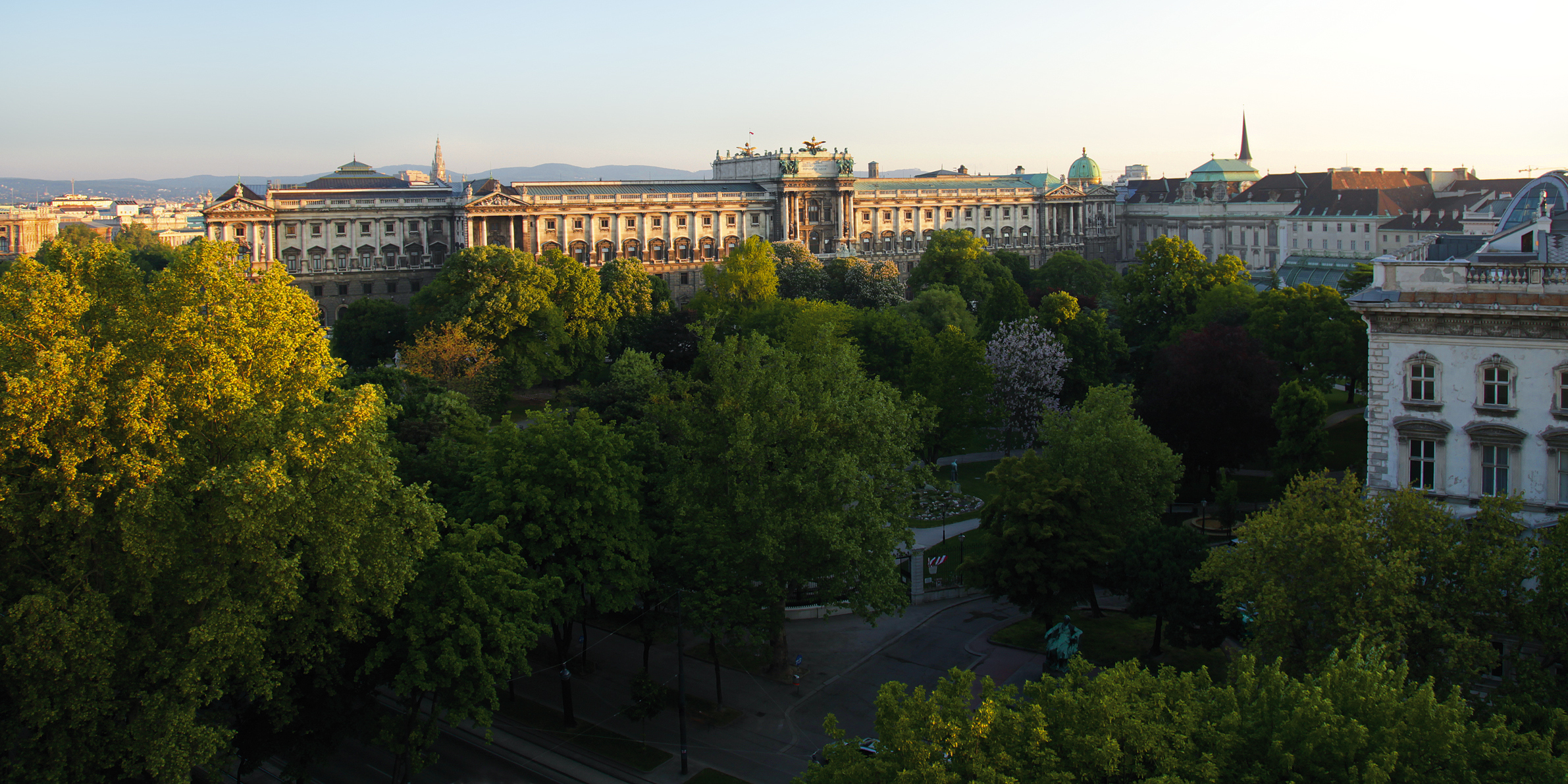 Blick auf Wiens begrünte Stadt mit vielen Bäumen und Gbeäuden