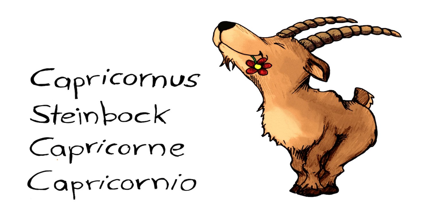 Steinbock Sternzeichen als Comic mit Schriftzug Caprocomus, Steonboxk, Caprocorne, capricornio