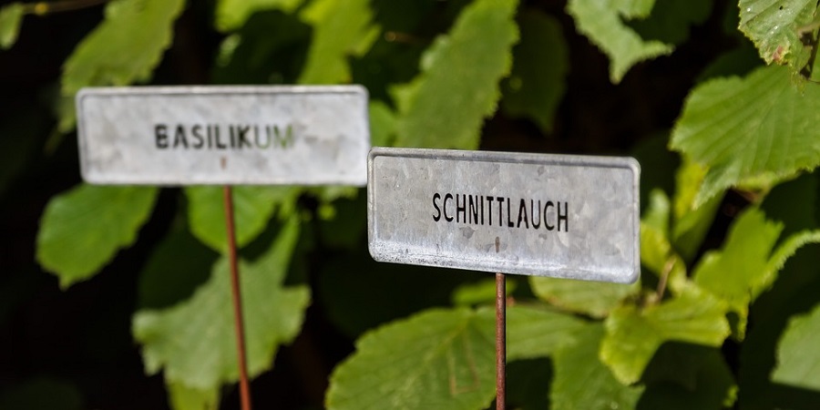 Kräutergarten mit Schildern, im Vordergrund Schnittloch