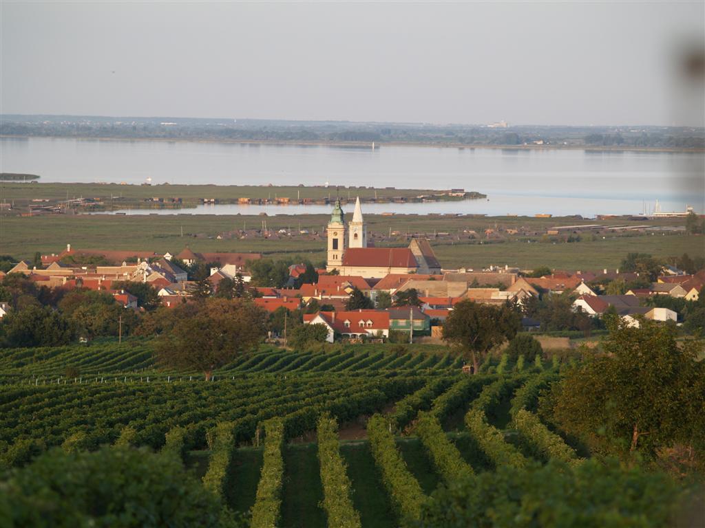 Ein Weingut mit Ausblick auf den Neusiedler See