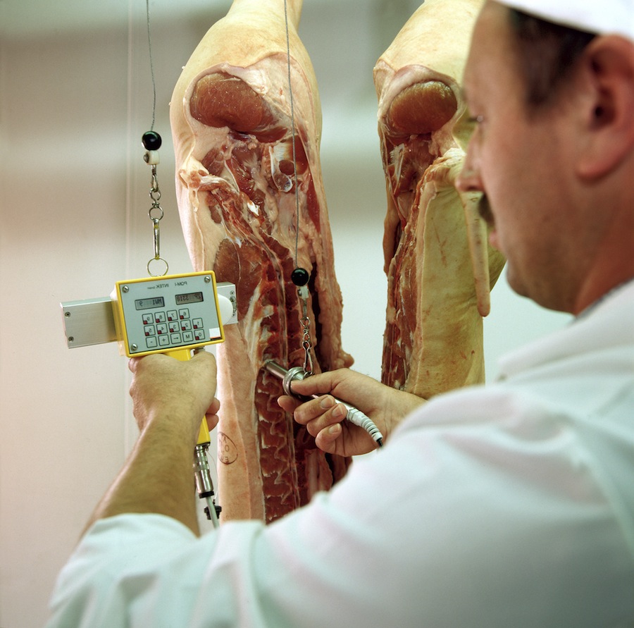 Tierarzt kontrolliert Fleisch