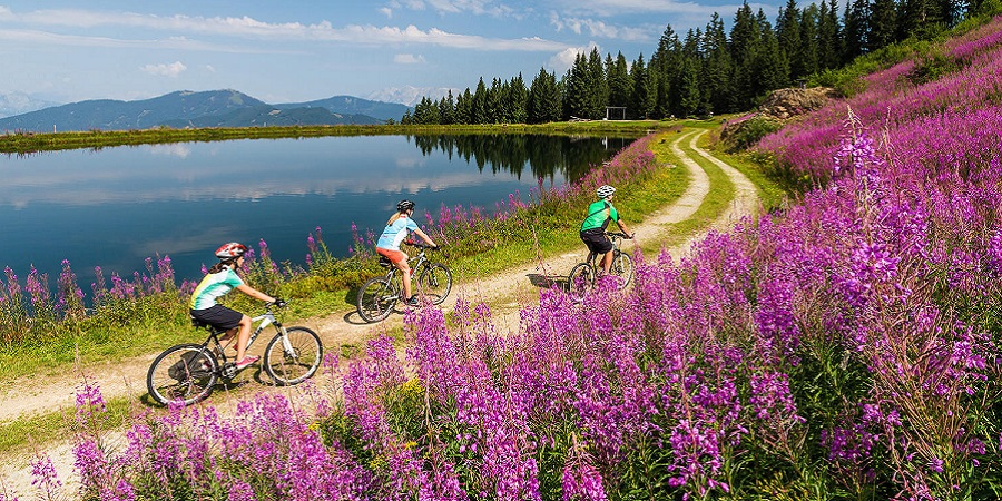 Biker fahren entlang eines Sees daneben eine lila Blumenwiese