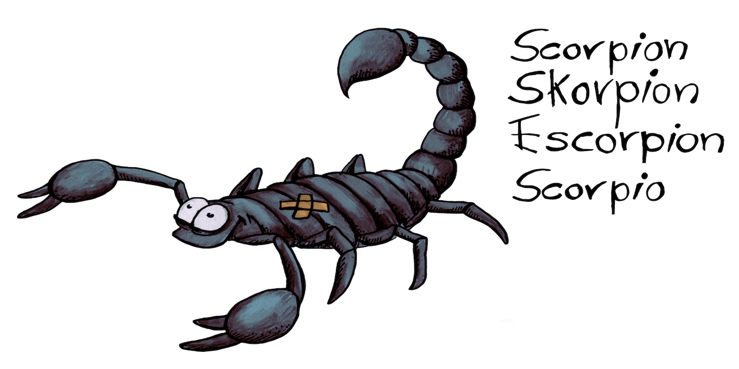 Skorpion gezeichnet grau mit Pflaster am Rücken, Schrift rechts Scorpion, Skorpion, Escorpion, Scorpio