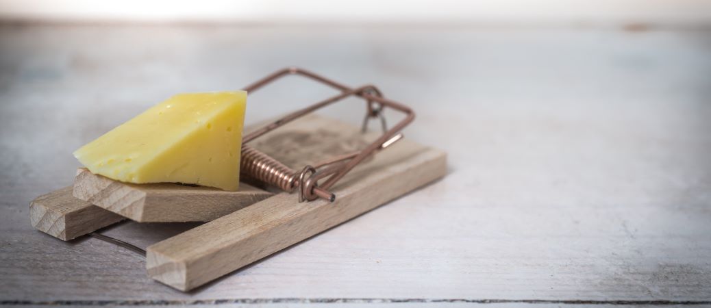 Bild einer Mausefalle, die mit Käse ihre Beute anlocken will