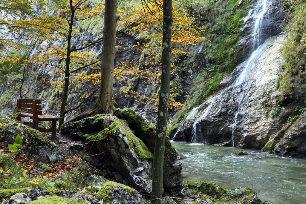 Parkbank im Wald vor Bach und Wasserfall