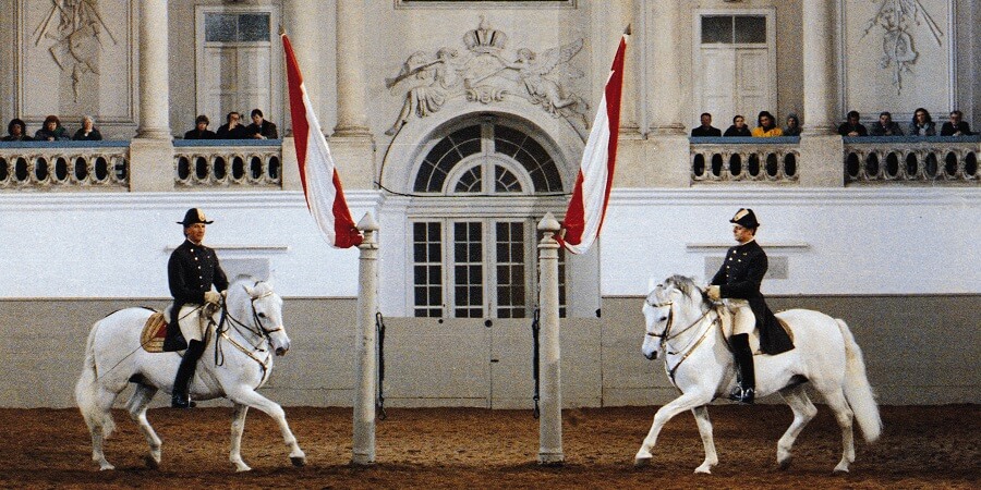 2 Reiter auf Lipizzanern reiten die Figur "Pas de deux" in der Spanischen Hofreitschule Wien