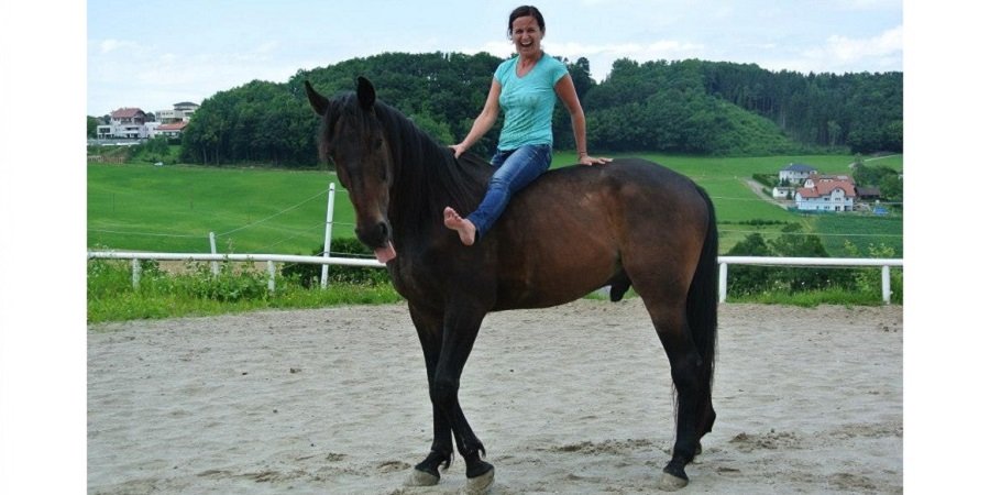 Frau sitzt auf dunklem Pferd und lächelt