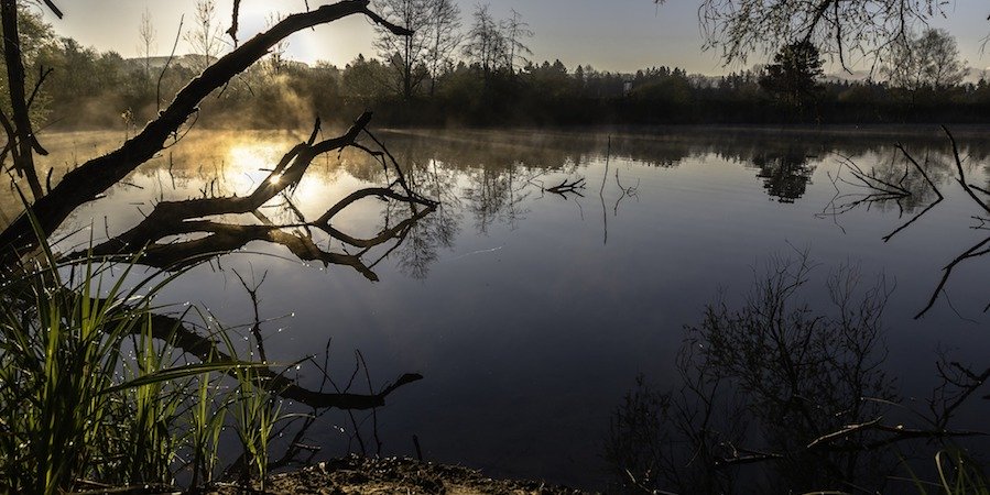Sonnenstrahlen, Teich in der Natur, leichter Nebel über dem Wasser, Teich umgeben von Bäumen und Sträuchern, Wasserspiegelung
